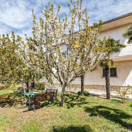 Apartments Villa Pavle 로비니 외부 사진